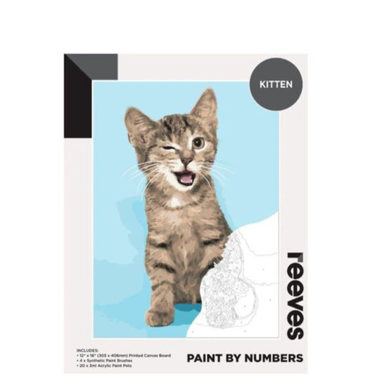 Kitten