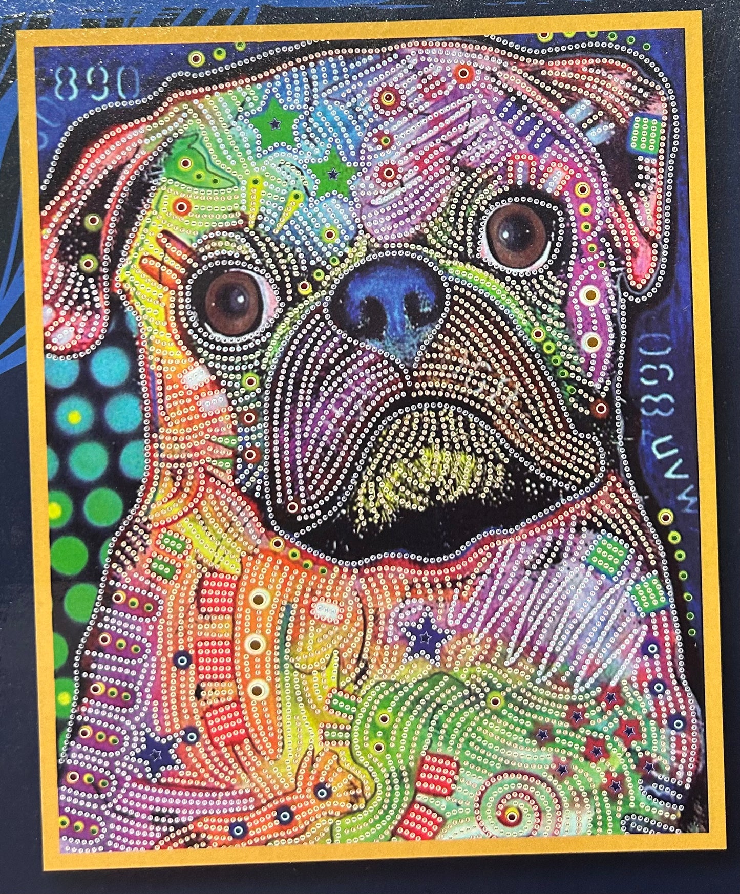 Rhinestone Canvas