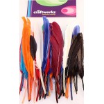 Turkey Feathers Mix