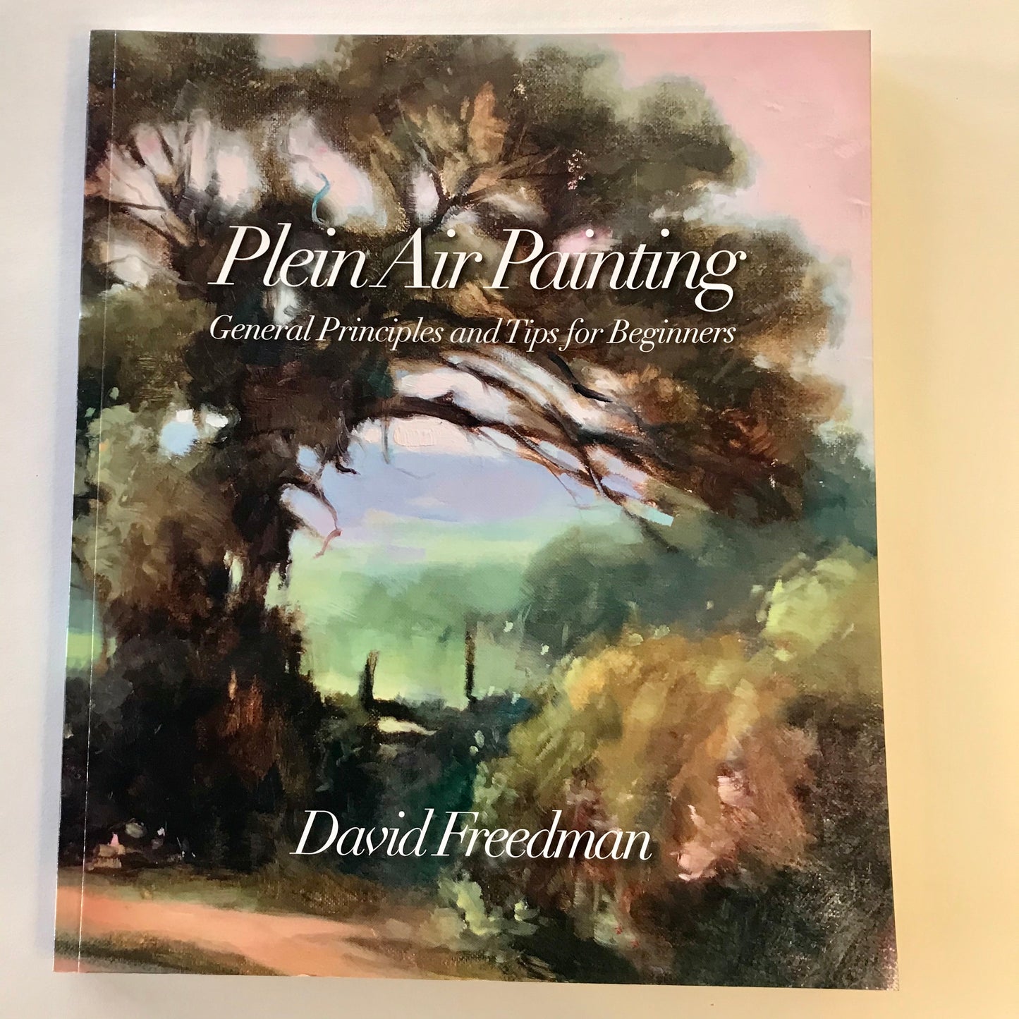 Plein Air Painting